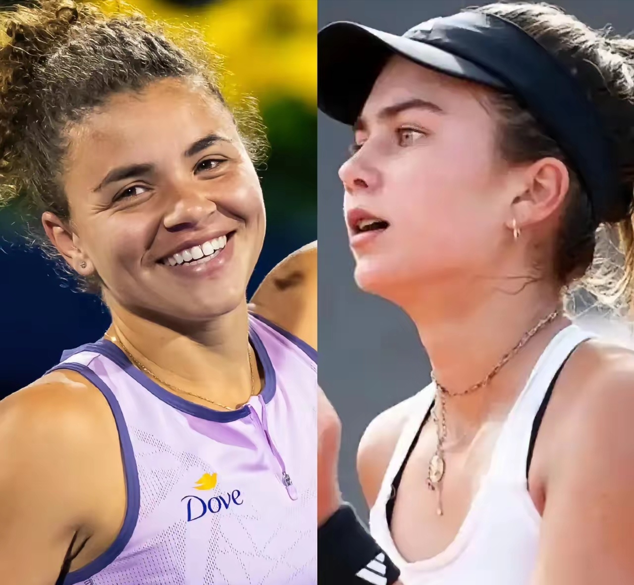 说明选择的 说明选择的